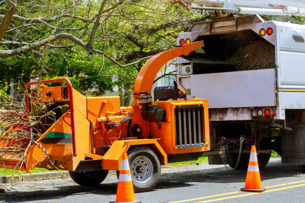 Best Firewood Processing and Delivery  in Cinco Ranch, TX