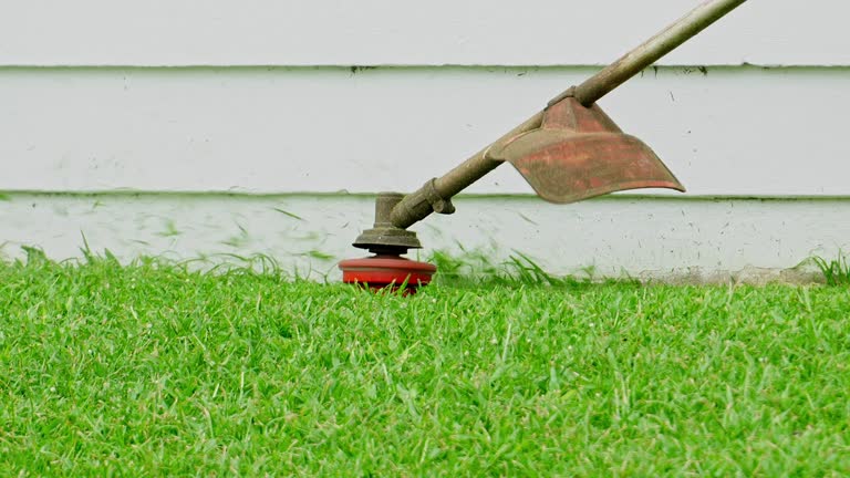 Best Hedge Trimming  in Cinco Ranch, TX